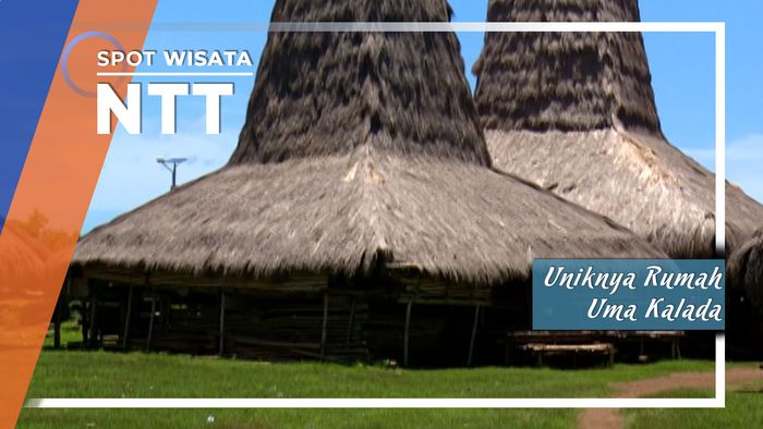 Uniknya Rumah Uma Kalada, Sumba