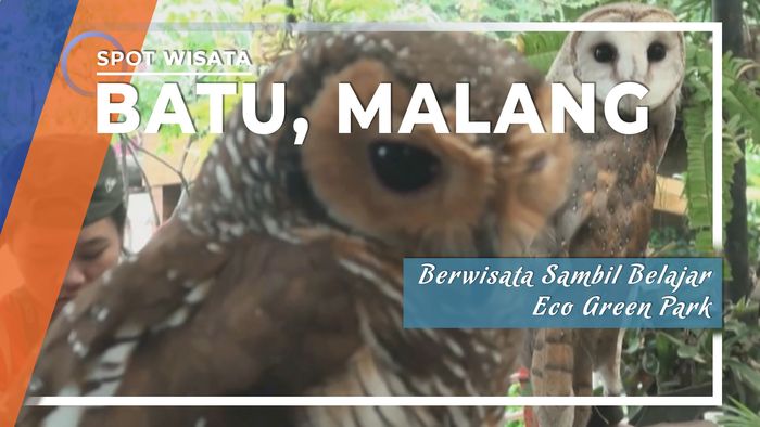 Berwisata Sambil Belajar Eco Green Park, Batu, Malang
