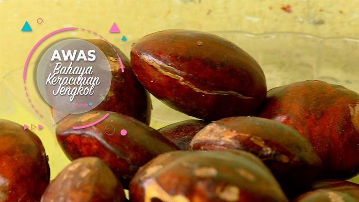 Awas, Bahaya Keracunan Jengkol