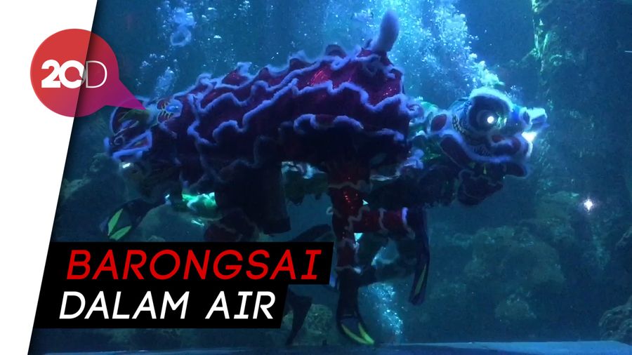 Libur Imlek, Ada Atraksi Barongsai Dalam Air di Ancol