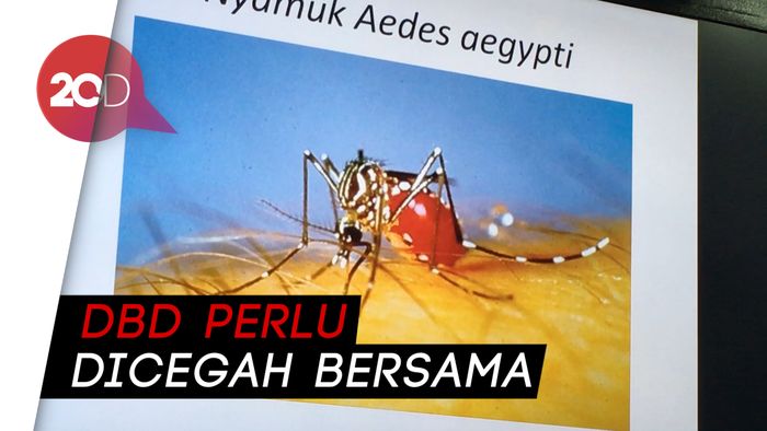 Ini Alasan Tingginya Penyakit Demam Berdarah di Januari 2019