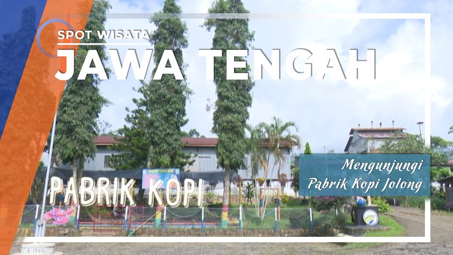 Mengunjungi Pabrik Kopi Jolong, Pati
