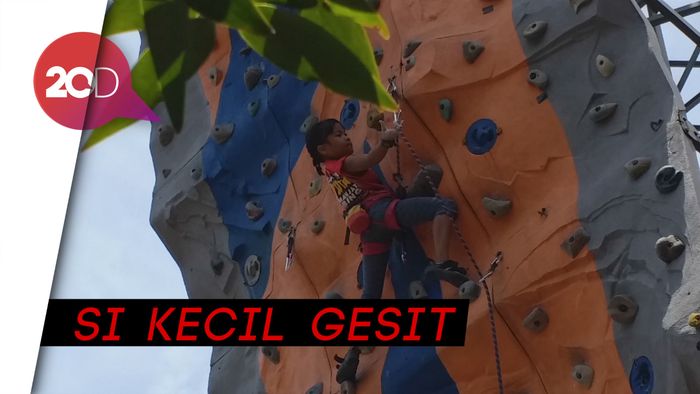 Melihat Aksi Balqis, Si Laba-laba Kecil Asal Bandung