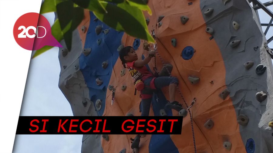 Melihat Aksi Balqis, Si Laba-laba Kecil Asal Bandung