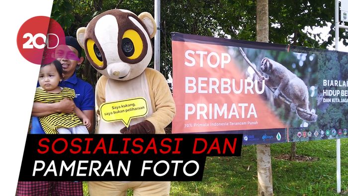 Serunya Edukasi Primata di Taman Hutan Kota