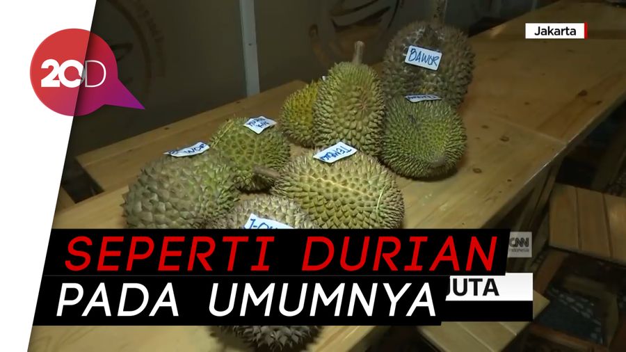 Nyam! Begini Rasa Durian J-Queen Seharga Rp 14 Juta