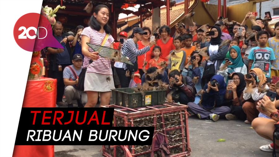 Cuan Pedagang Burung Melejit di Perayaan Imlek