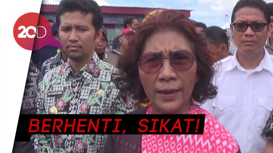 Peringatan! Susi Minta Nelayan Trenggalek Tak Berburu Benur