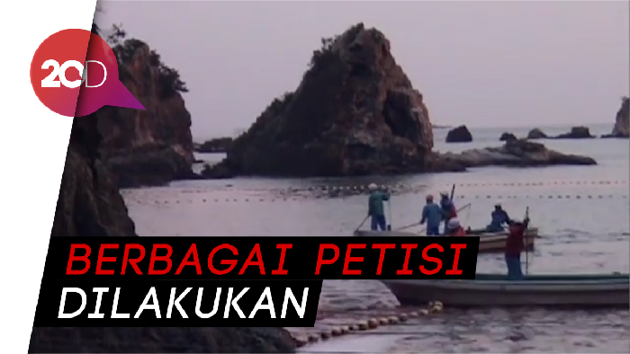 Sadisnya Tradisi Lumba-lumba di Jepang yang Dikecam Banyak Pihak 