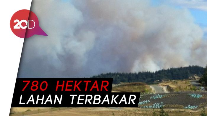 Asap Tebal Mengepul Akibat Kebakaran Hutan di Selandia Baru 