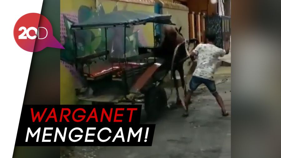 Kejam! Kusir Delman Ngamuk Siksa Kudanya di Jalan