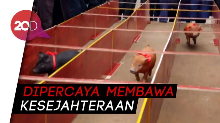 Festival  Musim Semi, Para Babi Ikut Lomba Lari