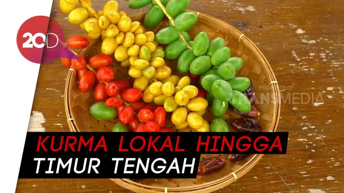 Kenali Beragam Jenis Buah Kurma di Taman Wisata Pasuruan