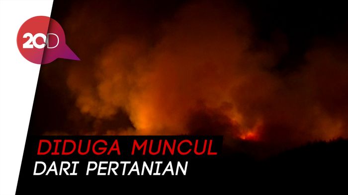 Antisipasi Kebakaran Hutan, Otoritas Selandia Baru Evakuasi Warga
