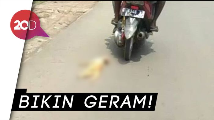  Kejam! Kucing Diseret Pakai Motor di Pekalongan