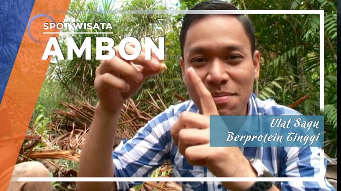 Ulat Sagu Berprotein Tinggi, Ambon, Maluku