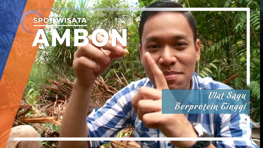 Ulat Sagu Berprotein Tinggi, Ambon, Maluku