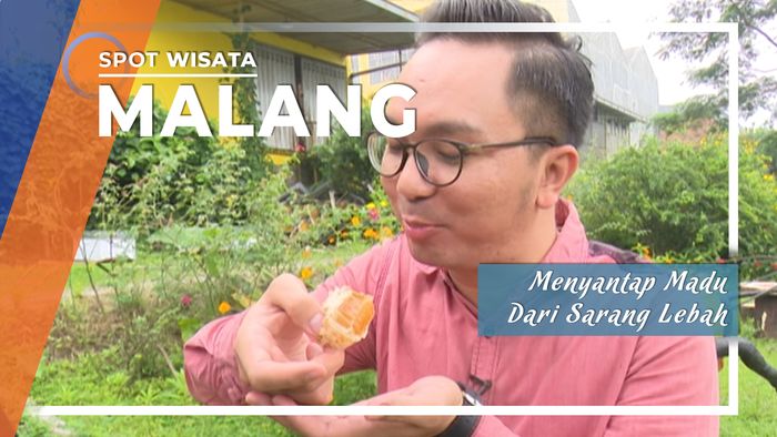 Madu Langsung Dari Sarang Lebah, Malang, Jawa Timur