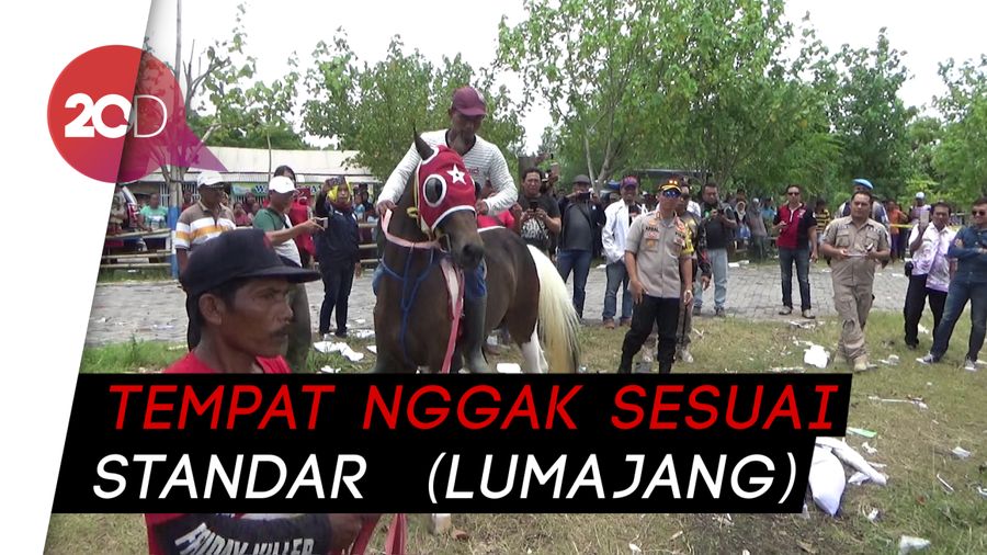 Pacuan Kuda di Lumajang Telan Korban JIwa