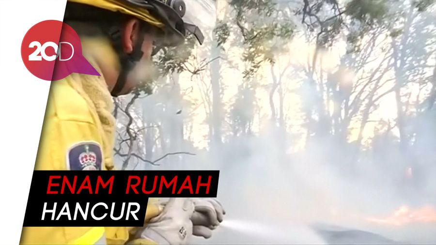 Perumahan Warga Ikut Ludes Gegara Kebakaran Lahan