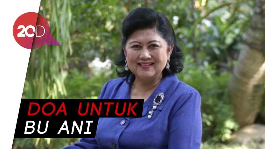  Diutus Jokowi, Pratikno Besuk Bu Ani