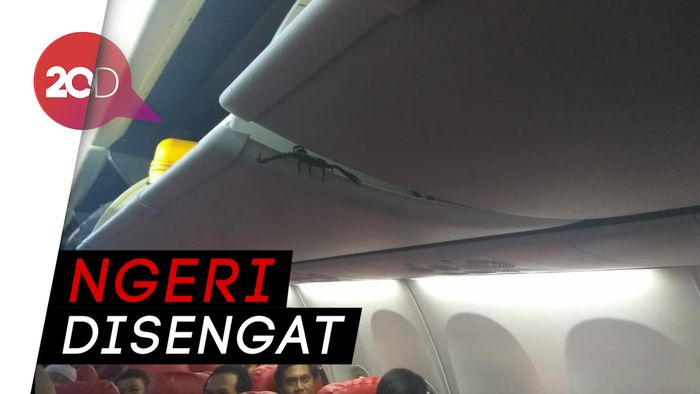 Hii, Ada Kalajengking di Kabin Pesawat Lion Air