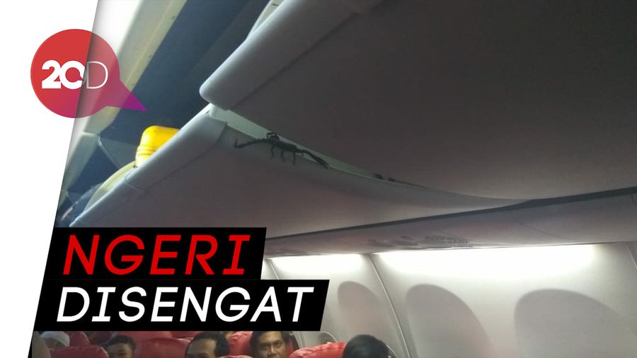 Hii, Ada Kalajengking di Kabin Pesawat Lion Air
