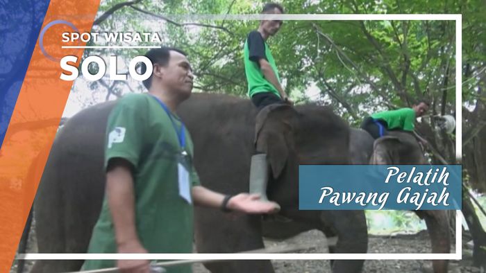 Pelatihan Pawang Gajah, Solo