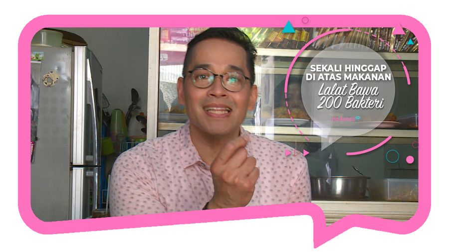 Sekali Hinggap di Atas Makanan, Lalat Bawa 200 Bakteri