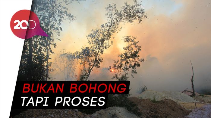 Jokowi Bukan Bohong, Ini Penjelasan TKN Soal Kebakaran Hutan