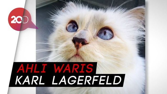 Choupette, Kucing Kesayangan Karl Lagerfeld yang Kaya Raya