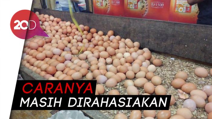 Cara Turunkan Harga Telur ala Kubu Prabowo: Menang Dulu, Baru Cerita