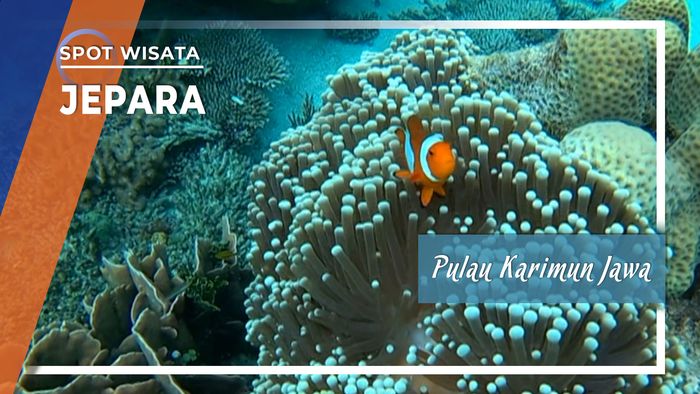 Menikmati Wisata Dan Kuliner Pulau Karimun Jawa, Jepara, Jawa Tengah