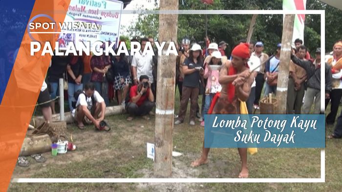 Lomba Potong Kayu Suku Dayak, Palangkaraya, Kalimantan Tengah