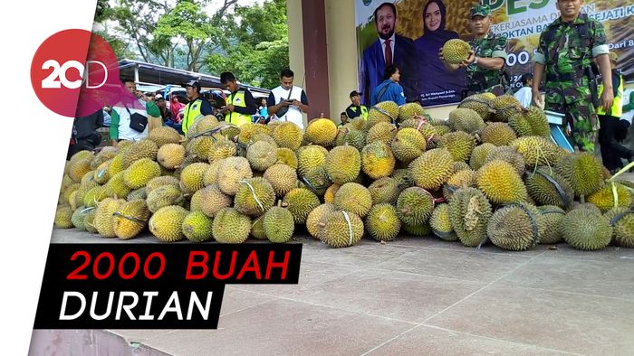Seru! Ada Pesta Durian Gratis di Ponorogo