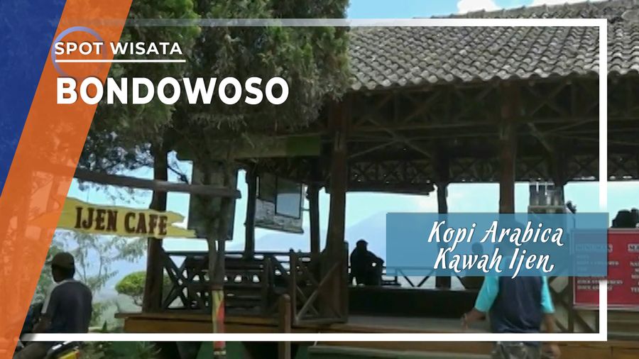 Kopi Arabica Kawah Ijen di Bondowoso