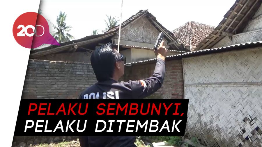 Dor! Aksi Polisi Tangkap Pencuri Sapi Bak Film Action