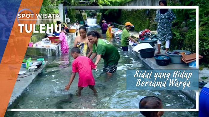 Belut Morea, Sidat yang Hidup Bersama Warga Tulehu Maluku Tengah