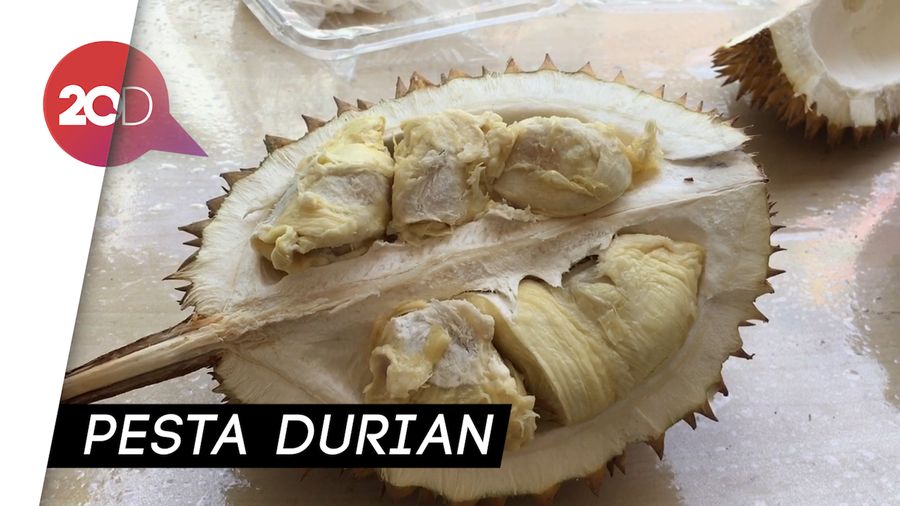 Puas! Menjajal Berbagai Jenis Durian yang Legit dan Wangi