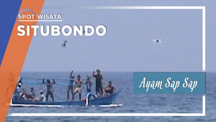 Keunikan Tradisi Ayam Sap Sap Situbondo