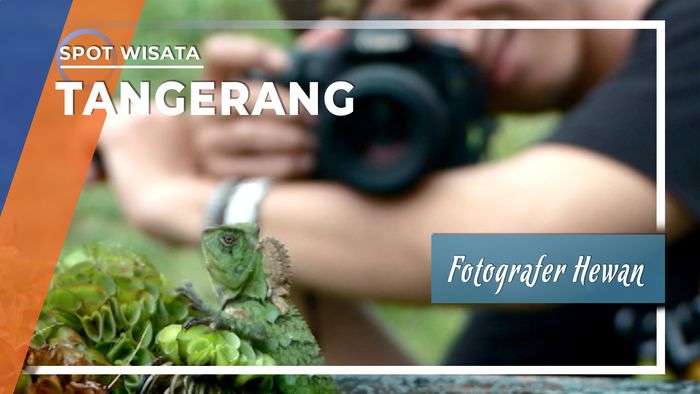 Dunia Kecil Ala Fotografer Hewan Tangerang