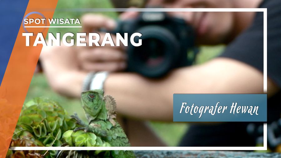 Dunia Kecil Ala Fotografer Hewan Tangerang