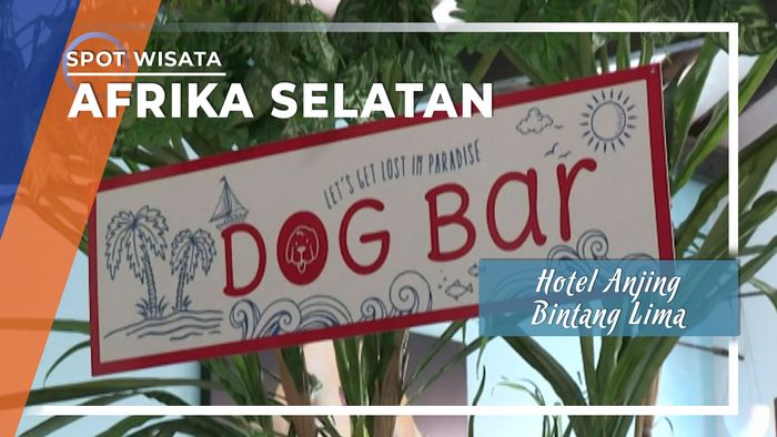 Hotel Anjing Bintang Lima di Cape Town Afrika Selatan