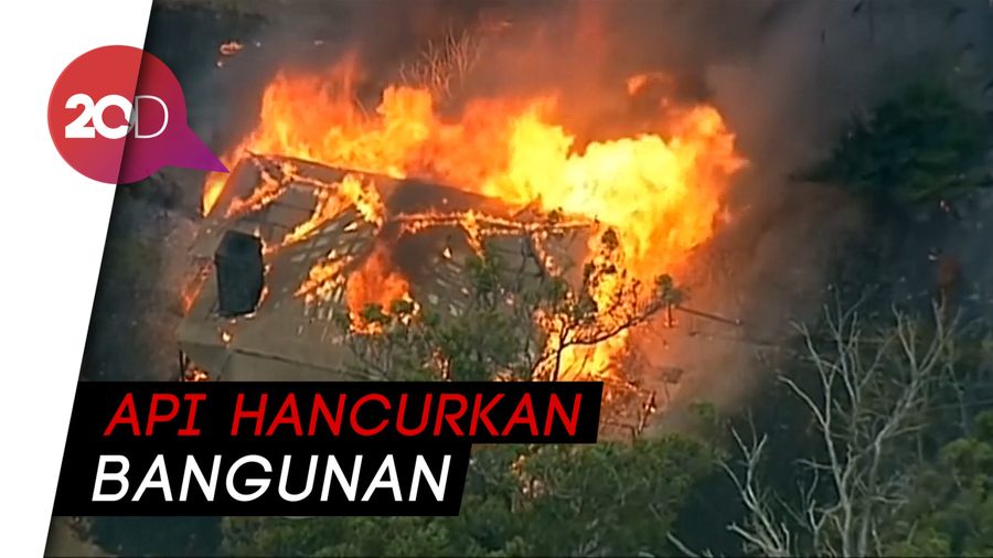 Mengerikan! Kebakaran Hutan di Australia