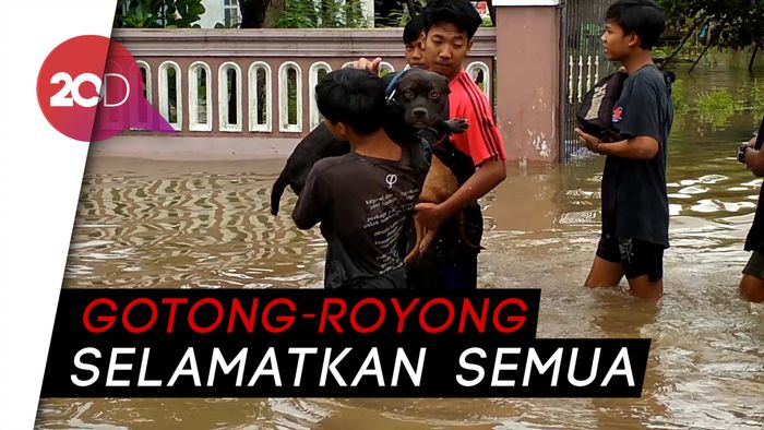 Petugas Berjibaku Evakuasi Bayi Hingga Anjing dari Banjir Blitar