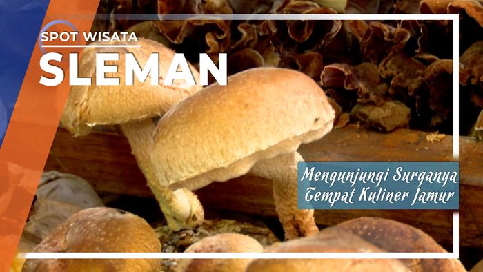 Surganya Tempat Kuliner Jamur di Yogyakarta