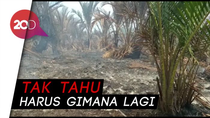 Duh, 5 Ha Kebun Sagu Milik Andi Ikut Ludes Gegara Kebakaran Hutan