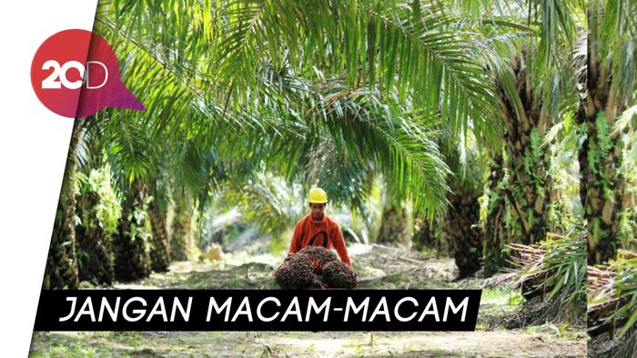 Indonesia Sepakat Lawan Diskriminasi Sawit Uni Eropa