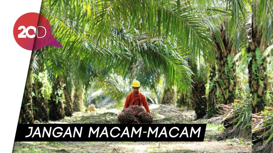 Indonesia Sepakat Lawan Diskriminasi Sawit Uni Eropa