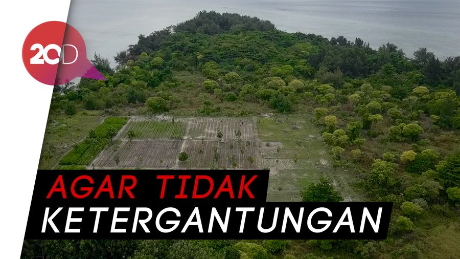 Kebun Sayur Terbesar di Gugusan Kepulauan Seribu